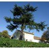 hauts conseillant winery bonalgue 1 1