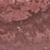 Cranberry