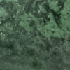Conifer
