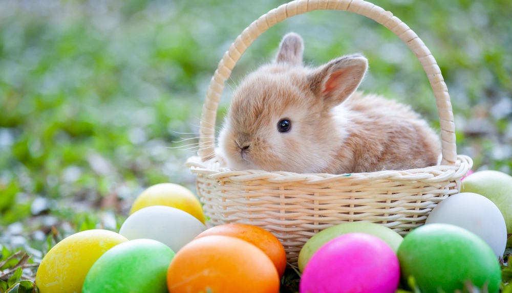 Velikonoce - tradice, svátky a tvoření