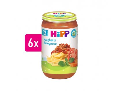 HiPP BIO Boloňské špagety 6x250g