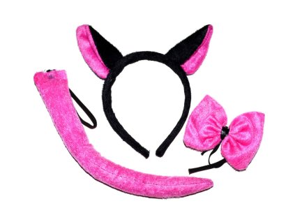 Set karneval kočka