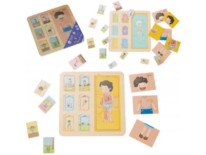 Classic World Dřevěné puzzle Lidské tělo
