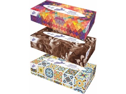 Linteo BOX papírové kapesníky 2 vrstvé 100ks 1