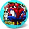 Gumový míč Spiderman 23cm 3