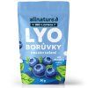 Allnature Borůvka sušená mrazem celá 30g