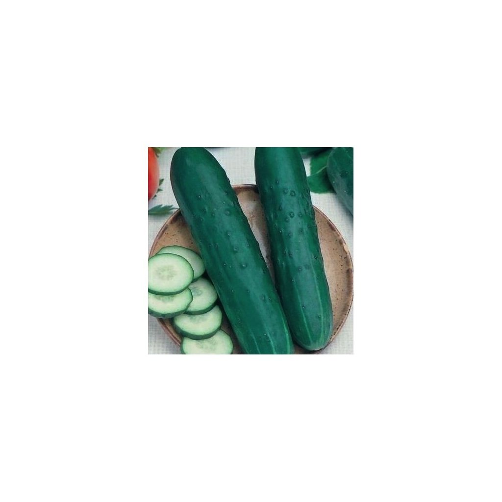 Okurka salátová Obelix F1 - semena okurky 0,8 g, 25 ks
