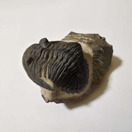 WhatsApp Image 2026 01 04 at 13.53.44