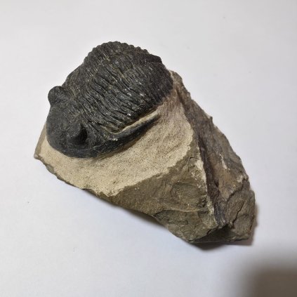 WhatsApp Image 2026 01 04 at 15.33.37 (1)