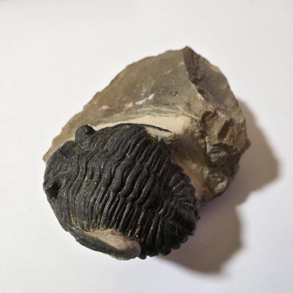 WhatsApp Image 2026 01 04 at 18.17.37