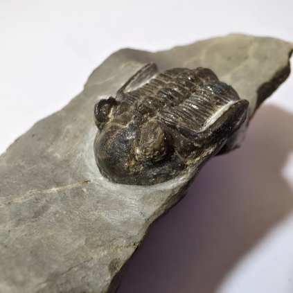 WhatsApp Image 2026 01 04 at 15.37.32