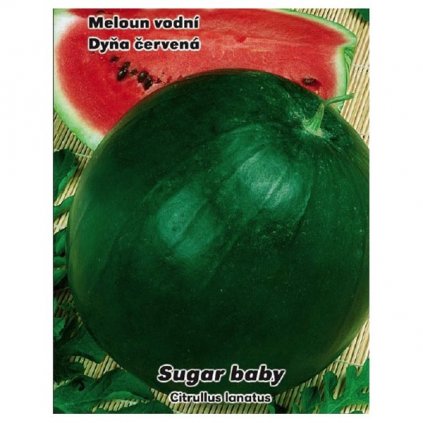 Meloun vodní Sugar Baby - semena melounu 0,5 g, 15 ks