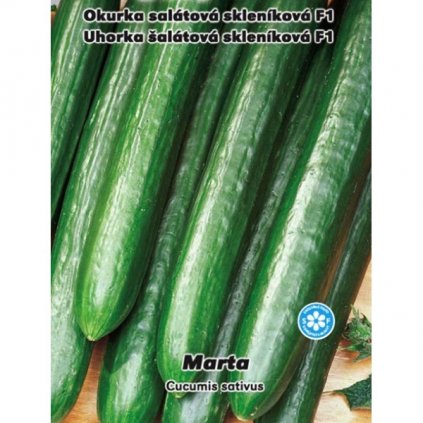 OKURKA SALÁTOVÁ SKLENÍKOVÁ HADOVKA MARTA F1 (CUCUMIS SATIVUS L.) - SEMENA OKURKY - 0,3 G (CCA 10 KS)