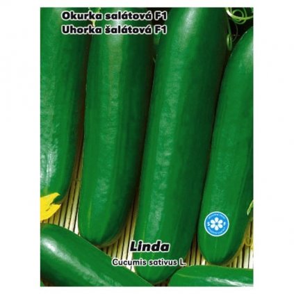 OKURKA SALÁTOVÁ F1 LINDA (CUCUMIS SATIVUS) - SEMENA OKURKY - 1 G (CCA 30 KS)