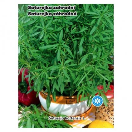 Saturejka zahradní - semena saturejky 0,3 g, 420 ks