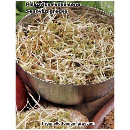 Pískavice řecké seno - semena 1,5 g