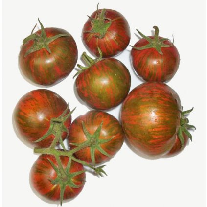 Rajče keříčkové černé Black Zebra Cherry - semena rajčat 10 ks