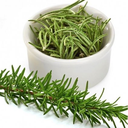 ROZMARÝN LÉKAŘSKÝ (ROSMARINUS OFFICINALIS) - SEMENA ROZMARÝNU - 20 KS