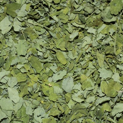 Moringa - list 50g