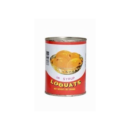 LOKVÁTY V SIRUPU 567g (Z TOHO 230g OVOCE)