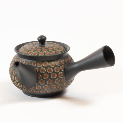 KYUSU 101
