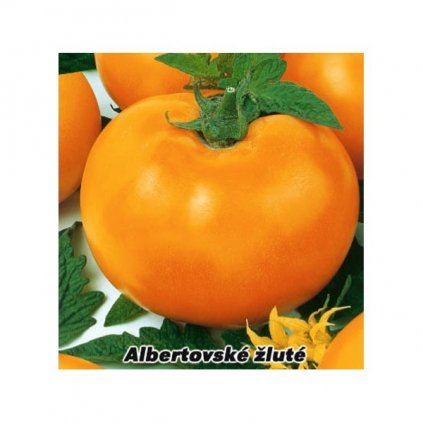 Rajče tyčkové žluté Albertovské - semena rajčat 0,2 g, 50 ks
