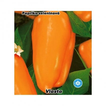 PAPRIKA ZELENINOVÁ ORANŽOVÁ - VLASTA (CAPSICUM ANNUUM L.)- SEMENA PAPRIKY - 0,4 G (CCA 50 KS)