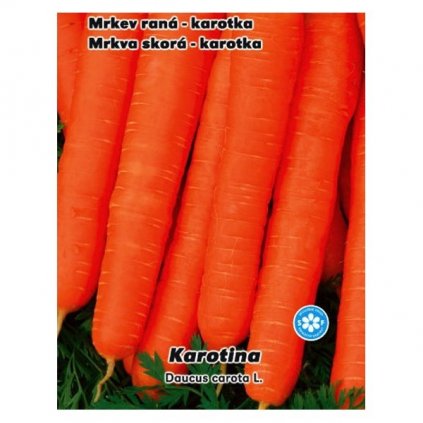 MRKEV RANÁ KAROTKA KAROTINA (DAUCUS CAROTA L.) - SEMENA KAROTKY 3 G (CCA 2200 KS)