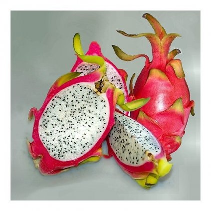 DRAČÍ OVOCE - PITAHAYA BĚLOMASÁ (HYLOCEREUS UNDATUS) - SEMENA - 10 KS