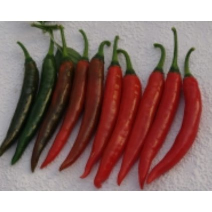 Gutera - okrasné chilli papričky kozí rohy - semena - 0,3 g, 45 ks