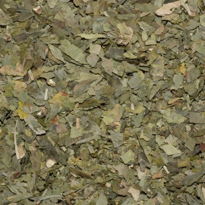 JINAN GINKGO BILOBA (GINKO) - LIST 100 g