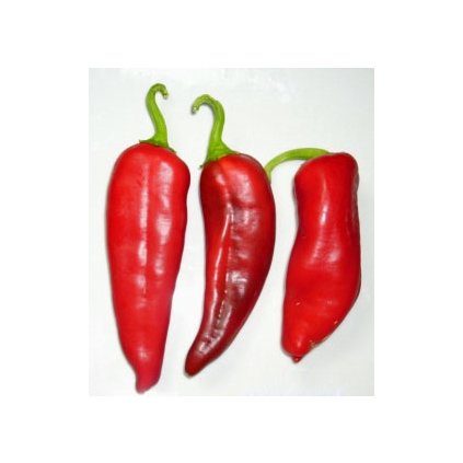Numex Big Jim - obří chilli papričky - semena mírně pálivých chilli papriček - 10 ks