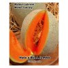 MELOUN CUKROVÝ HALE'S BEST JUMBO (Cucumis melo L.)  - SEMENA MELOUNU 0,5 G (CCA 15 KS)