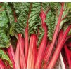 RHUBARB