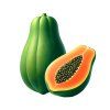 Obrázek papaya