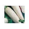 ŘEDKEV BÍLÁ TYP DAIKON ALABASTER F1 (RAPHANUS SATIVUS L.) - SEMENA ŘEDKVE - 2 G (CCA 160 KS)