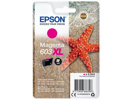 EPSON siglepack, Magenta 603XL, C13T03A34010