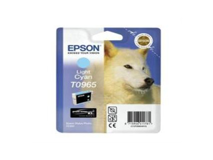 EPSON SP R2880 Light Cyan (T0965), C13T09654010