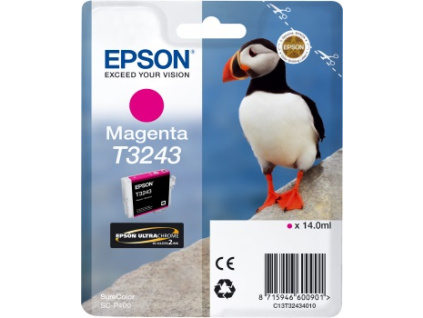 EPSON T3243 Magenta, C13T32434010