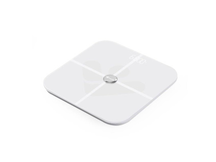 truelife fitscale w5