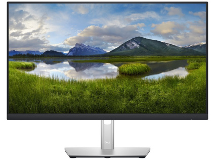 Dell/P2422H/23,8''/IPS/FHD/60Hz/5ms/Silver/3RNBD, 210-AZYX