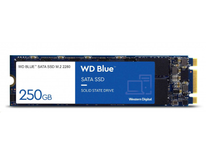 WD BLUE SSD 3D NAND WDS100T3B0B 1TB SA510 M.2, (R:560, W:520MB/s), WDS100T3B0B