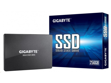 GIGABYTE SSD 256GB SATA, GP-GSTFS31256GTND
