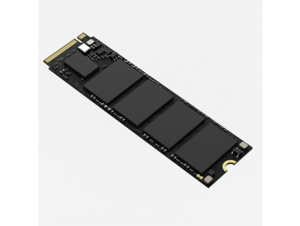 HIKSEMI SSD E1000 1024GB M.2 PCIe Gen3x4, NVMe, 3D NAND, 1TB (čtení max. 2460MB/s zápis max. 2475MB/s, 311506219