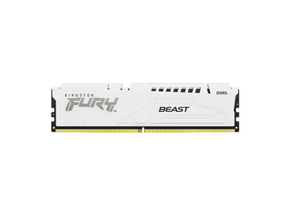 Kingston FURY Beast White/DDR5/16GB/5600MHz/CL40/1x16GB/White, KF556C40BW-16