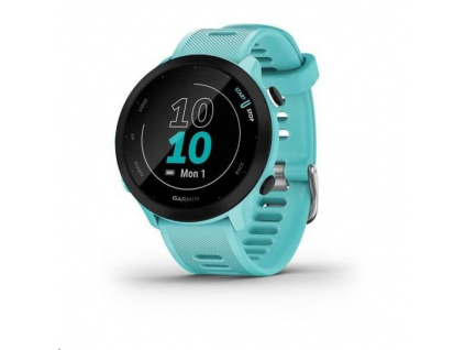Garmin GPS sportovní hodinky Forerunner 55 Blue, EU, 010-02562-12