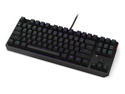 Endorfy herní klávesnice Thock TKL Brown / drátová / USB / brown switch / mechanická / CZ layout / černá RGB, EY5C003