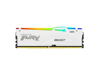 FURY Beast White RGB Expo DDR5 1 lg s