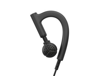 ear hook