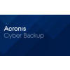 Acronis Cyber Protect - Backup Advanced Server Subscription License, 5 Year, A1WAEKLOS21